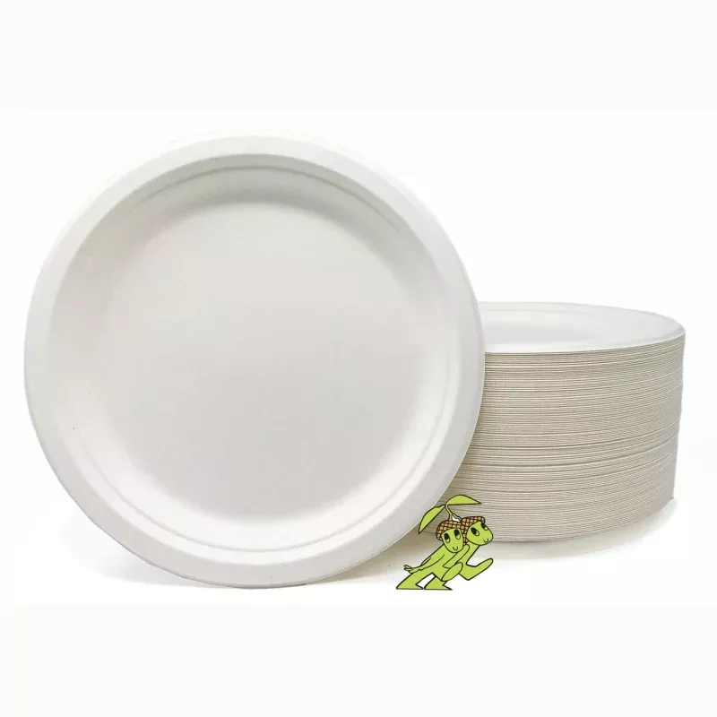 Compostable 9 Plates (White) - made from sugarcane