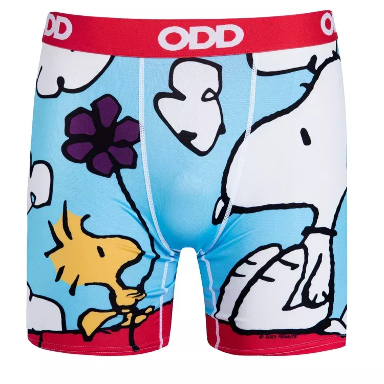 Peanuts - On The Dog House - Mens Boxer Briefs - Small