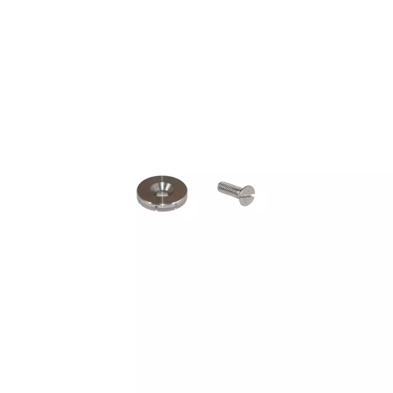 Rancilio Group Dispersion Nut and Screw Kit